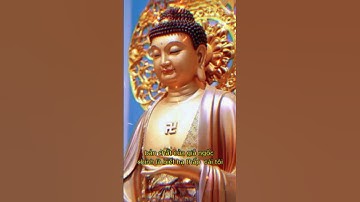 Bản chất của giả ngốc chính là biết hạ thấp  cái tôi #loiphatday #shorst #phattrongtam1971