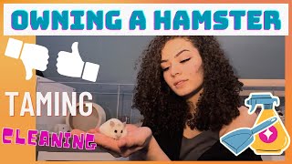 what it's really like owning a hamster