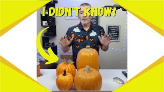 Fall Fun 7Pcs Foam Pumpkin Decor