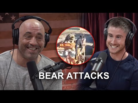 Discussing BEAR Attacks with Joe Rogan...