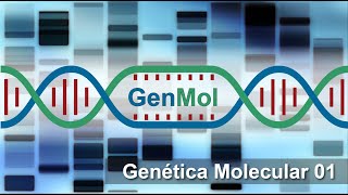 Genética Molecular 01: Introducción. Replicación.