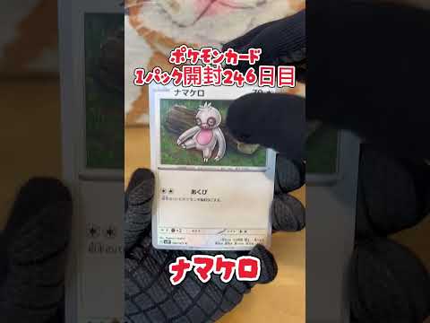 【ポケカ】ポケモンカード  スノーハザード  1パック開封246日目・・・#ポケモン#ポケモンカード#開封動画 