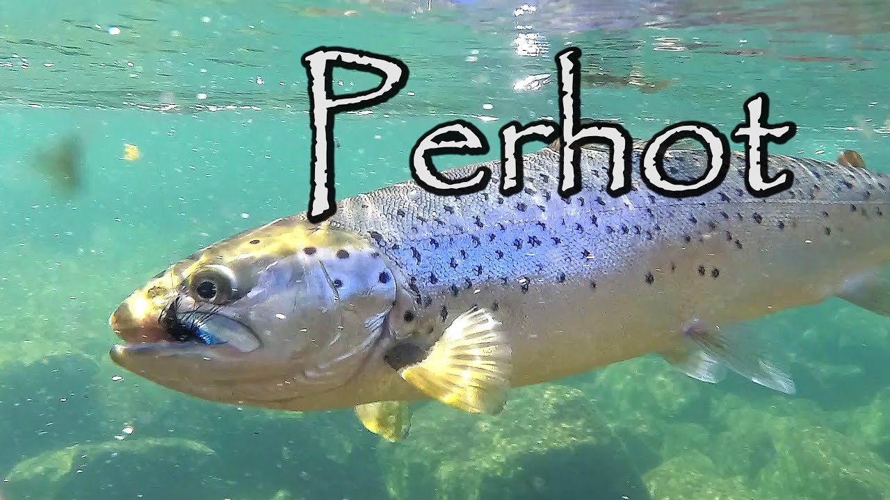Perhokalastus osa 2: Perhot