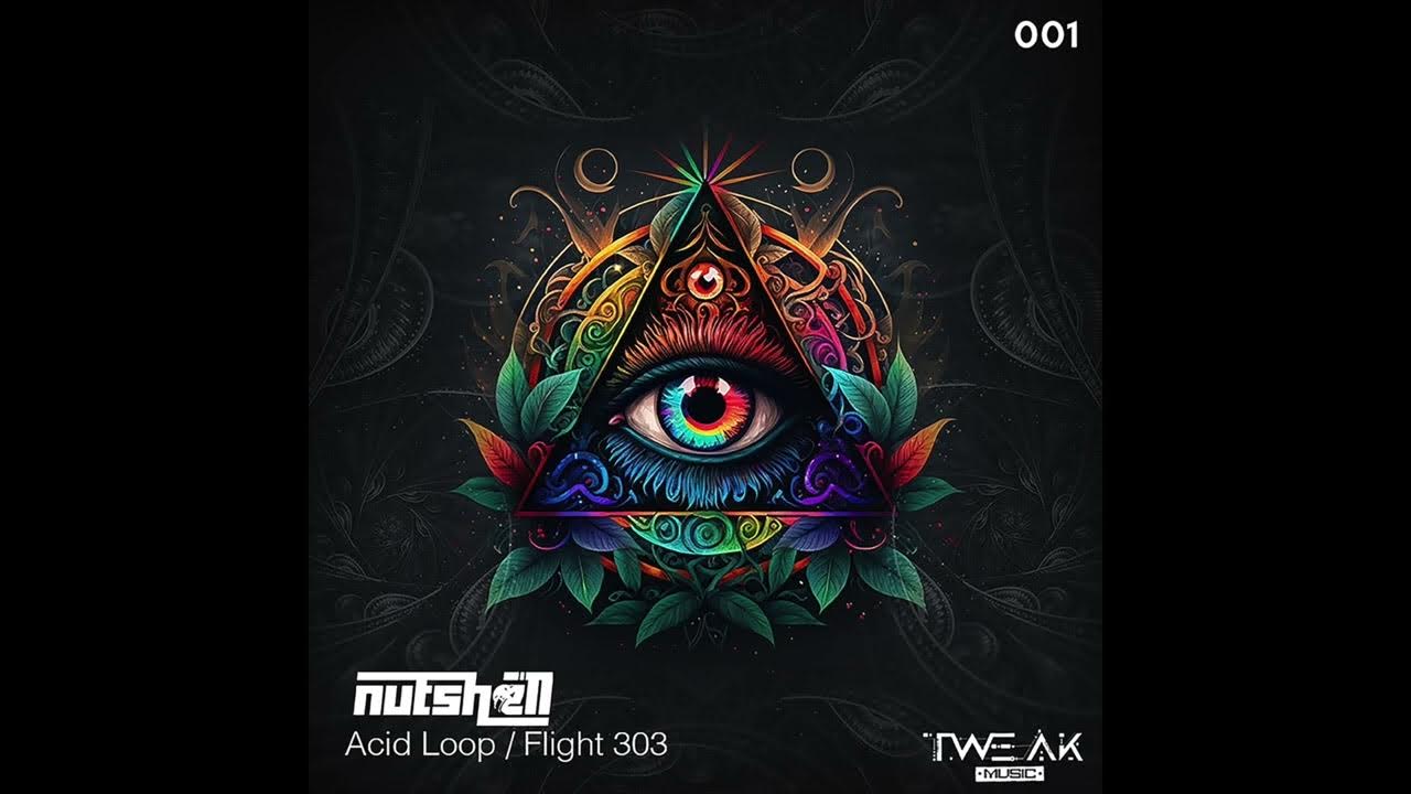 Nutshell Flight 303 ( Original Mix ) YouTube
