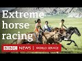 The longest horse race in the world - BBC World Service