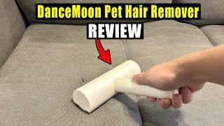 Does This Pet Hair Removal Tool Actually Work? (DanceMoon)