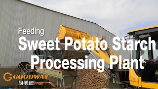 20TPD Sweet Potato Starch Processing Plant In Wen County of JiaoZuo