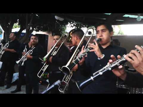 El novillo despuntado