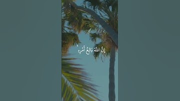 قران كريم ، سورة الطلاق ، ومن يتق الله يجعل له مخرجا#قرآن #اكسبلور #المصحف #تلاوة_خاشعة