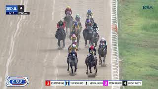 Vidéo de la course PMU RACE 9