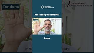 Whats Causing Your Thumb Pain? Tendons.