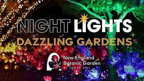 Night Lights: Dazzling Gardens