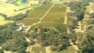 Viviani Tours - Meteor Vineyards