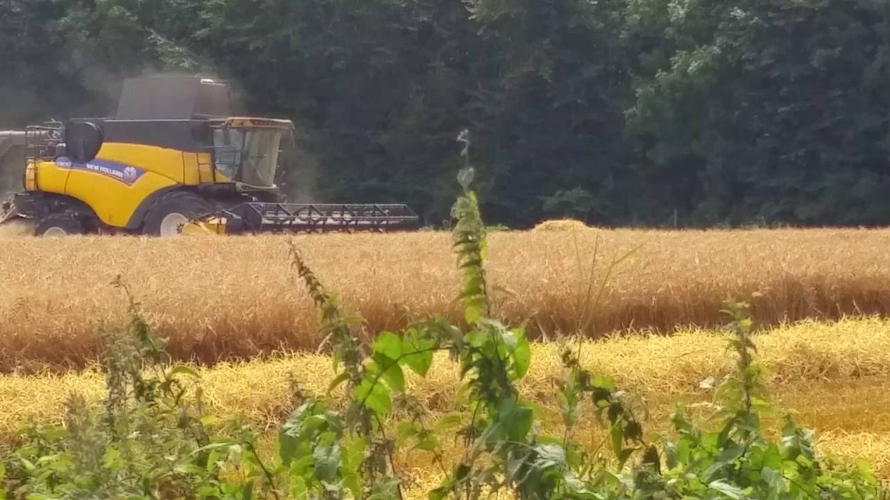 Harvesting in Wiltshire YouTube