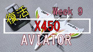20200105 X450 AVIATOR Week 9 Returns.いつもの飛行場、いつもの機体を飛ばします【ラジコン】【RC】【Drone+Plane】