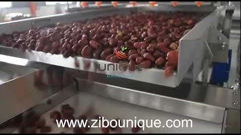 خط إنتاج التمور ، عبوات تفريغ متكاملة Palm dates processing line from Zibo Unique Machinery