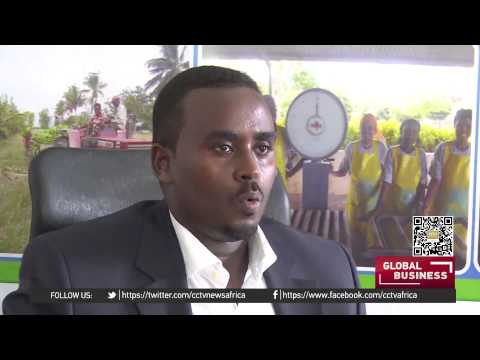 Somali politicians propose