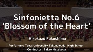 Sinfonietta No.6 