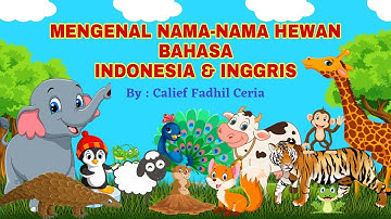 Yuukk !! Belajar Mengenal Nama-Nama Hewan Bersama Calief Fadhil Ceria Channel