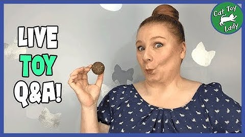 Live Q&A and learn how to make a catnip ball cat toy.
