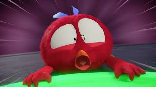 Wheres Chicky Tv Its Cartoon Time Live Seasons 1-4 All Episodes