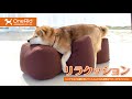 【ワンエイド】リラクッションのご紹介