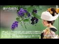 日本人の心の唄「南の花嫁さん」 Japanese music