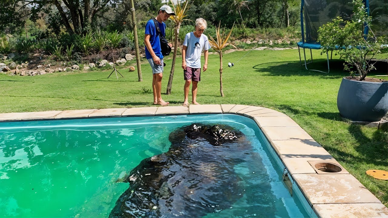 That Really Happened in People's Backyards