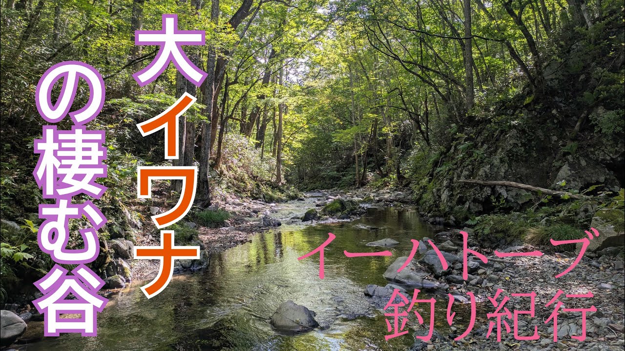 大イワナの棲む谷【フライフィッシング】渓流釣り天国【イーハトーブ】
