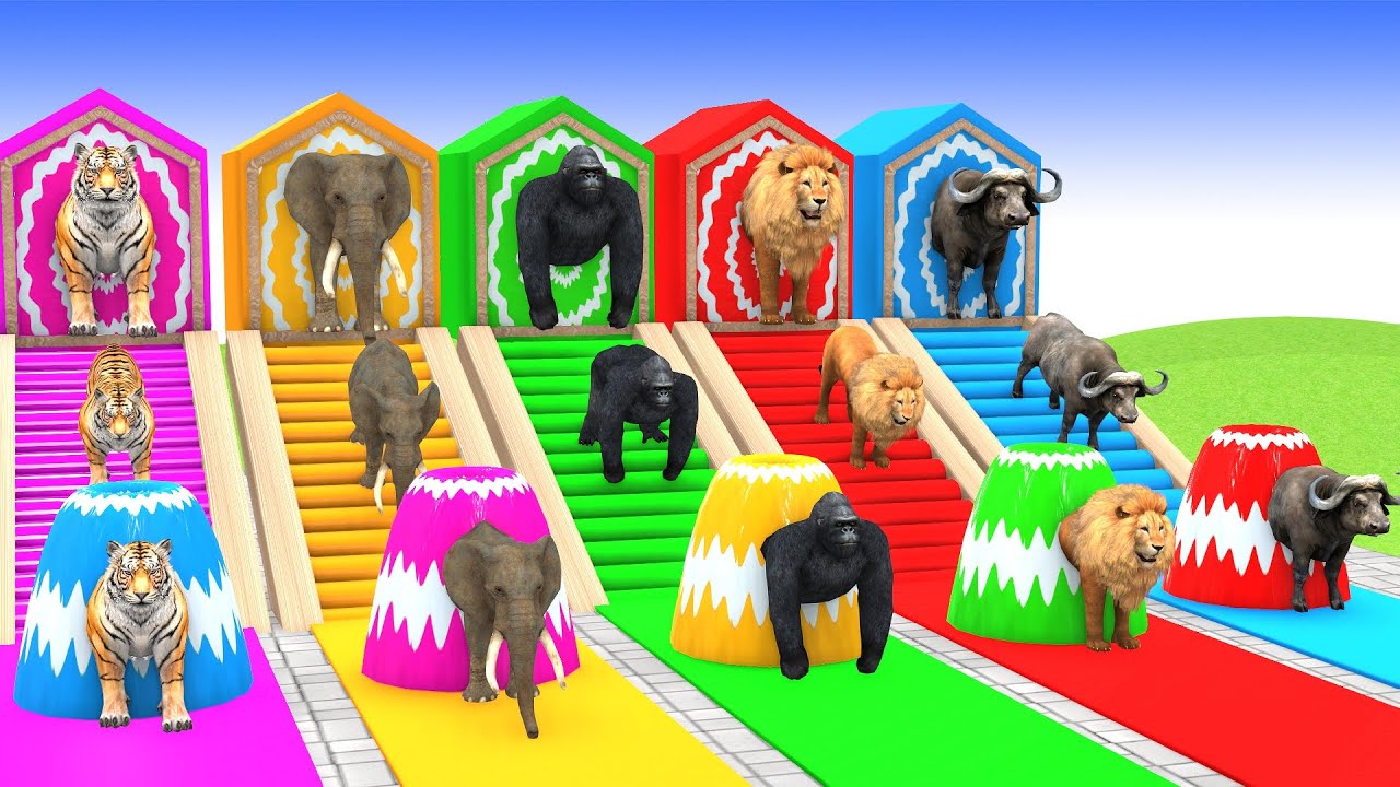 Funny 3D Animals Falling on Long Slide 😂 | Animal Game