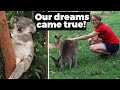 Meeting Koalas, Kangaroos and more Australian wildlife at Lone Pine Sanctuary