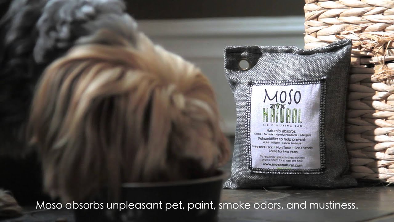 Moso Natural Air Purifying Bag Introduction YouTube