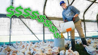 Stop Losing Money Feeding Your Chickens [Complete Guide]