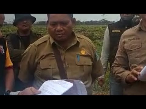 Makjleb ! Hasil Verifikasi Faktual Sebut Isi Laporan Akurat dan Terbukti