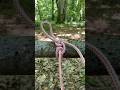 An Incredible Quick Release Knot With a WOW Effect #survival #camping #outdoors