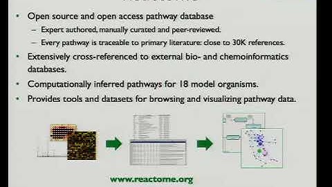 Reactome: A Biological Pathway Knowledgebase as a Platform for Systems Biology