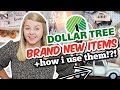 Grab these BRAND NEW Dollar Tree items for BRILLIANT DIYS and HACKS!?! (these will go fast!)