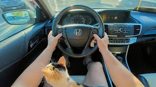 2015 Honda Accord SPORT ASMR RELAXING POV BABY CAT POV TEST DRIVE