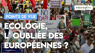 Ecologie : priorité des Français mais oubliée du débat européen