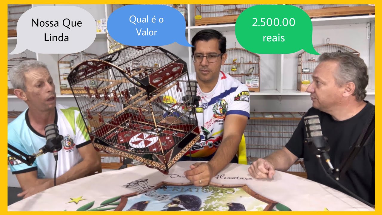 GAIOLA ALTO PADRÃO DE RODA TORNEIO COLEIRO PAPA-CAPIM