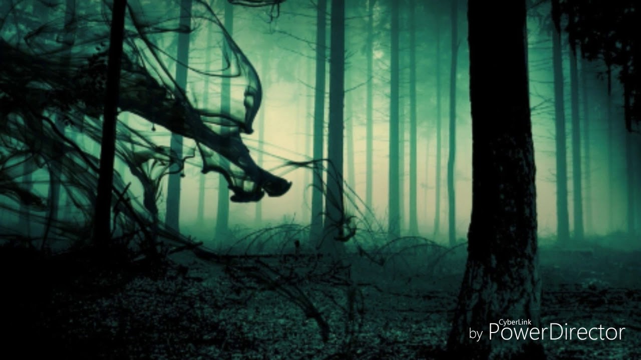 Ensera antu gerasi enggau mensia