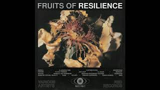 Custom Phase. - Resilience Vafofr