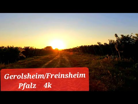 Unterwegs Gerolsheim Freinsheim