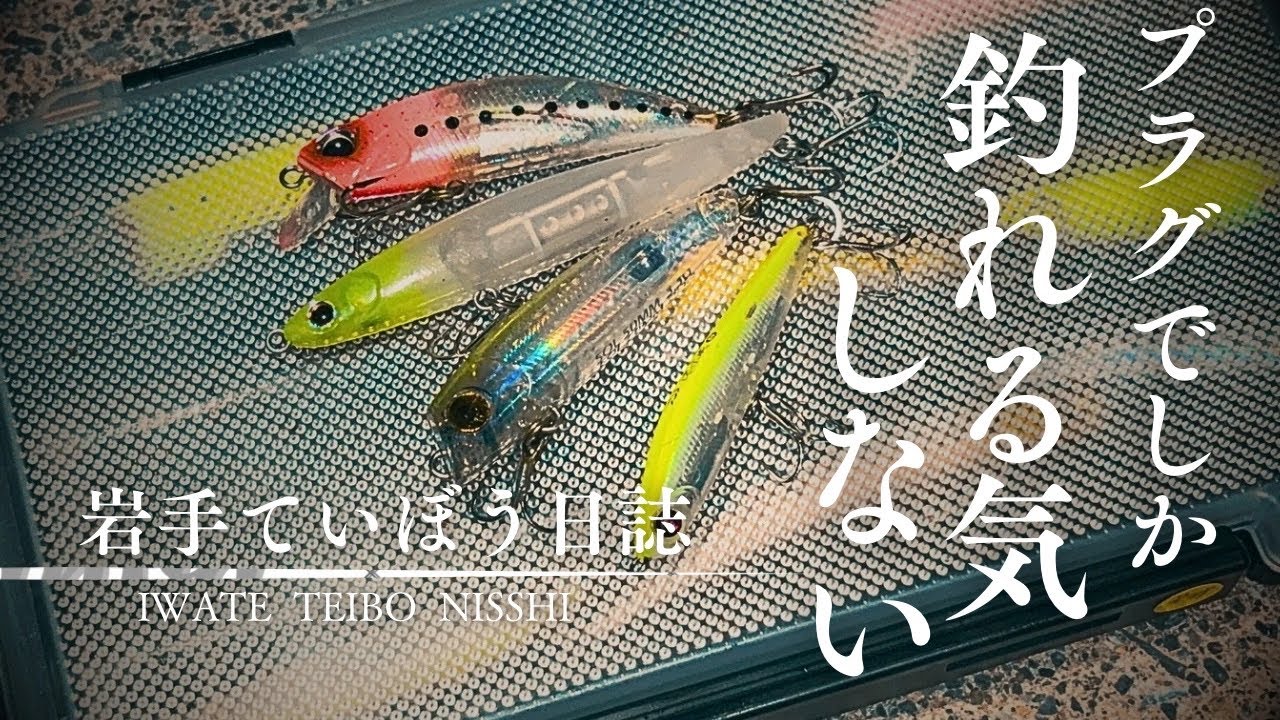 【大船渡市】おすすめ4選　春告げるメバル釣り　水面直下をプラグで攻略