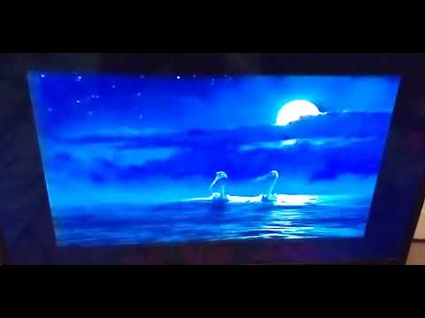 Finding Nemo TV Spot 2003 Now in Theaters