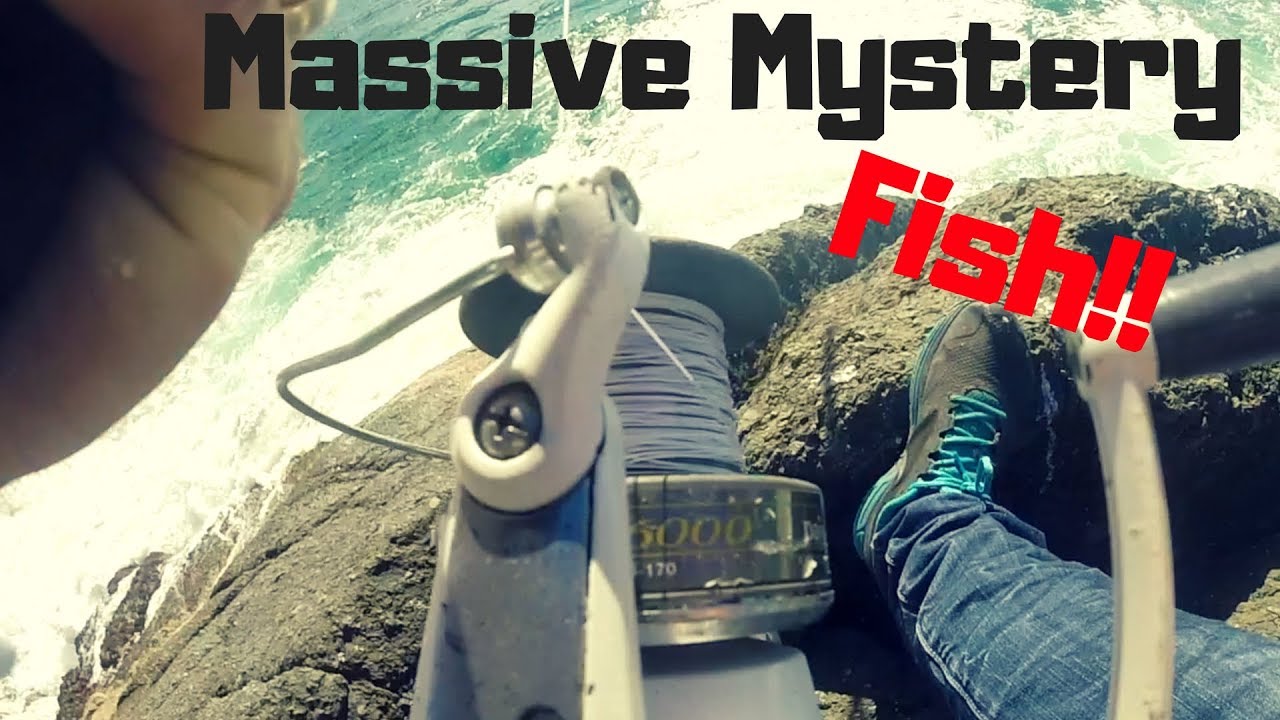 Getting Spooled By a Big Mystery Fish!! What do you think it was?? + More