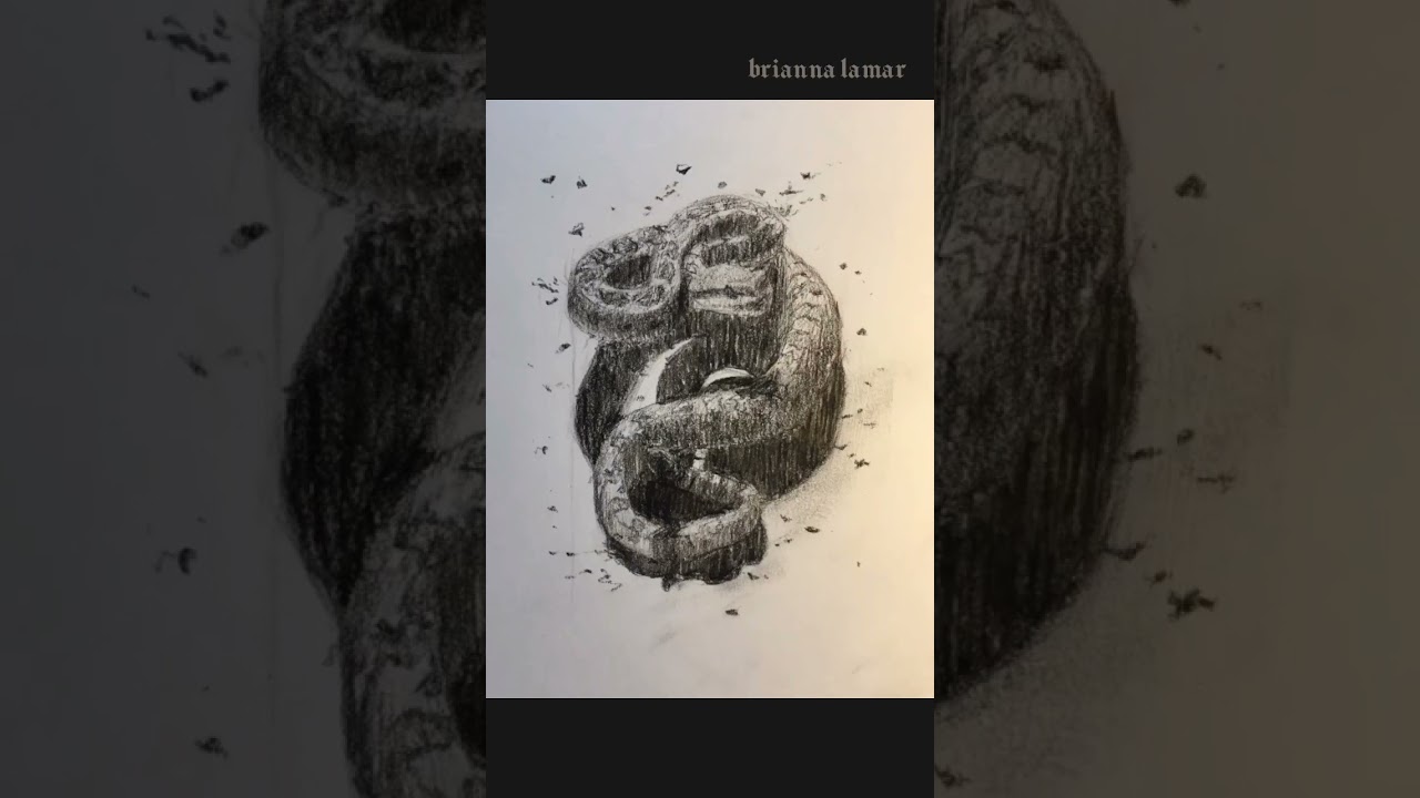 Shape Drawing Study - Snake Art WIP  