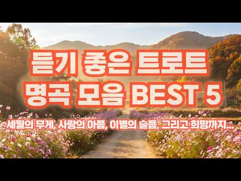 2026년 듣기 좋은 감성 트로트 모음 BEST 5 세월의 강을 건너 사랑의 부산항 가사 포함 연속듣기 