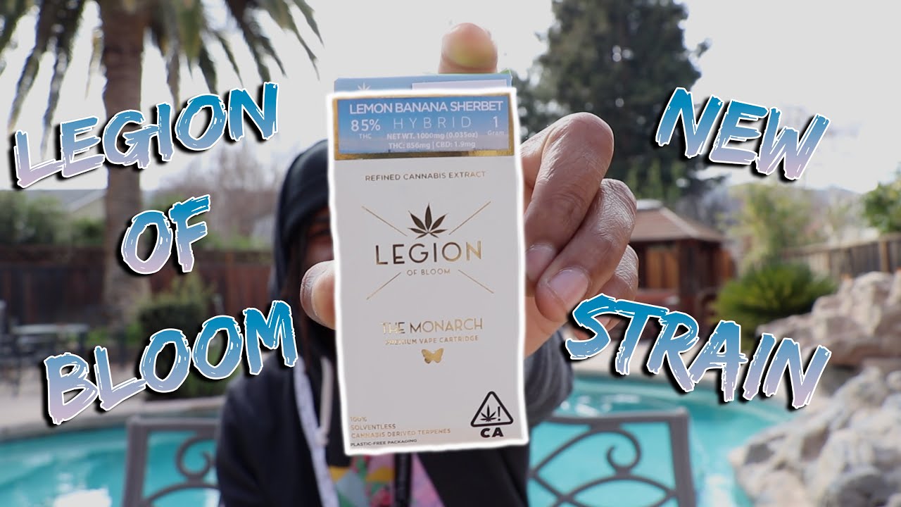 Trying LEGION OF BLOOM’S NEW MONARCH VAPE CART STRAIN