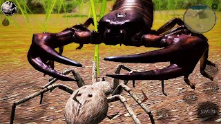 Spider VS Scorpion | Ultimate Spider Simulator 2 by Mobbox US 518 views 2 years ago 11 minutes, 5 seconds